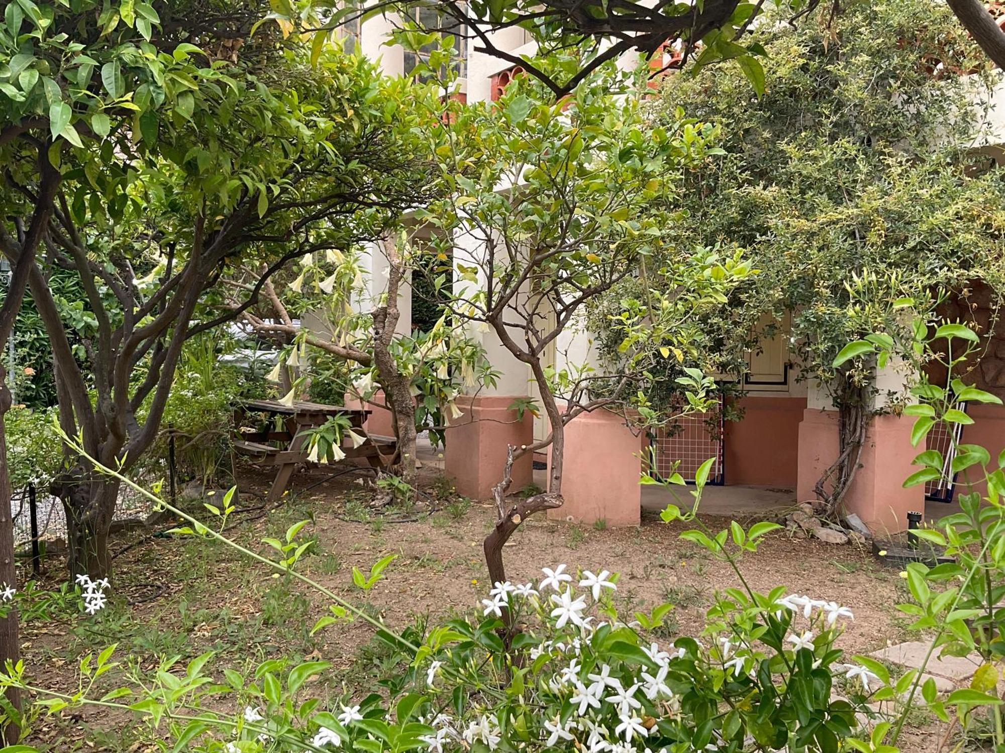Villa La Provence Йер Экстерьер фото