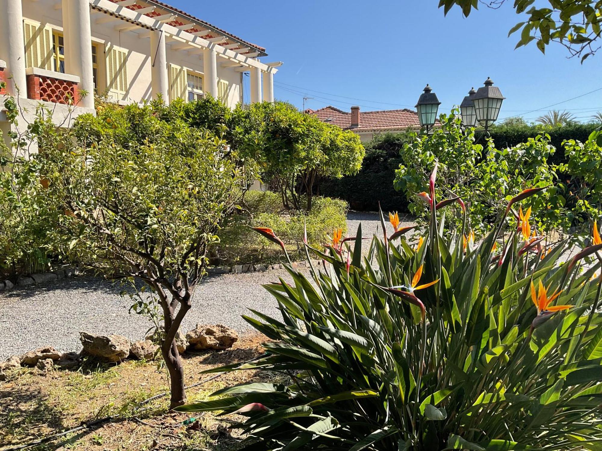 Villa La Provence Йер Экстерьер фото
