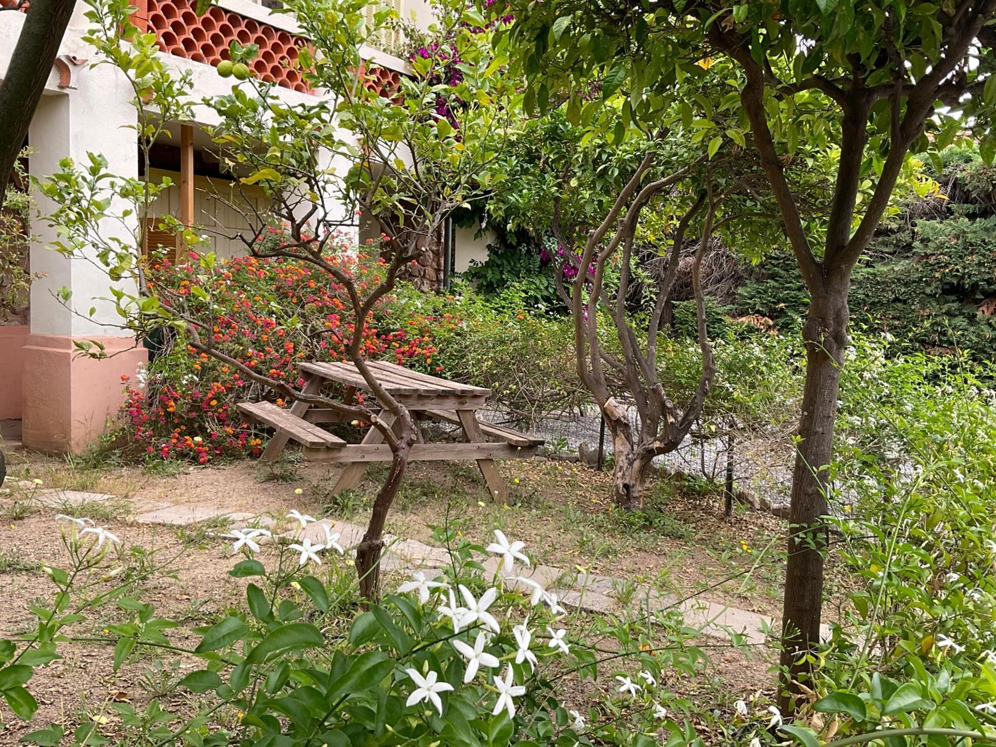 Villa La Provence Йер Экстерьер фото