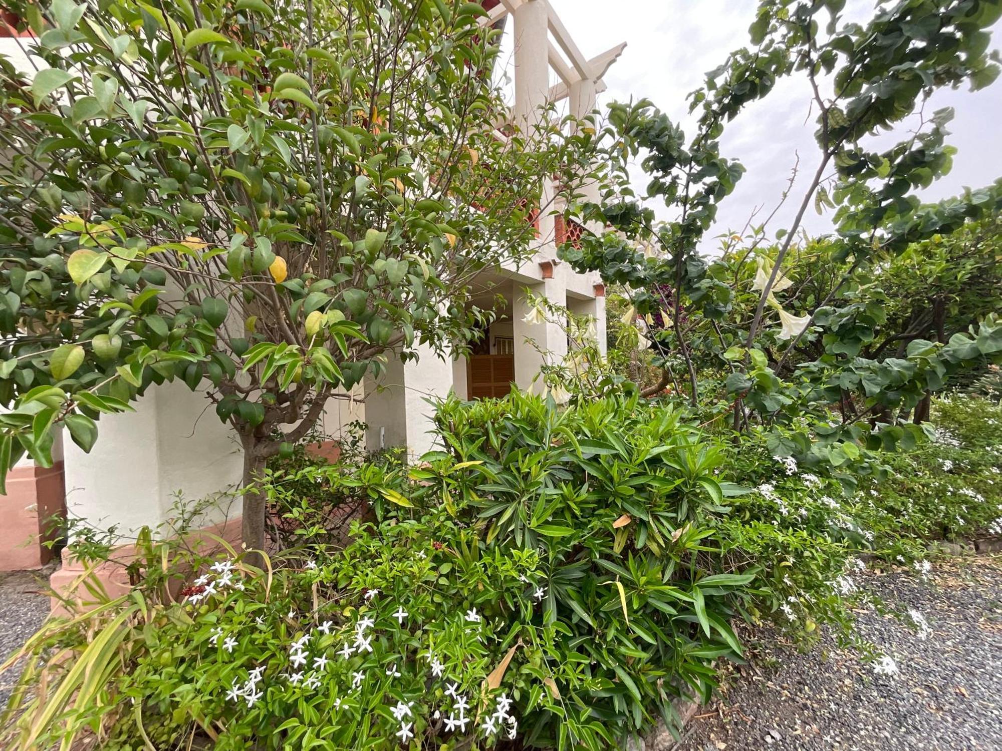 Villa La Provence Йер Экстерьер фото
