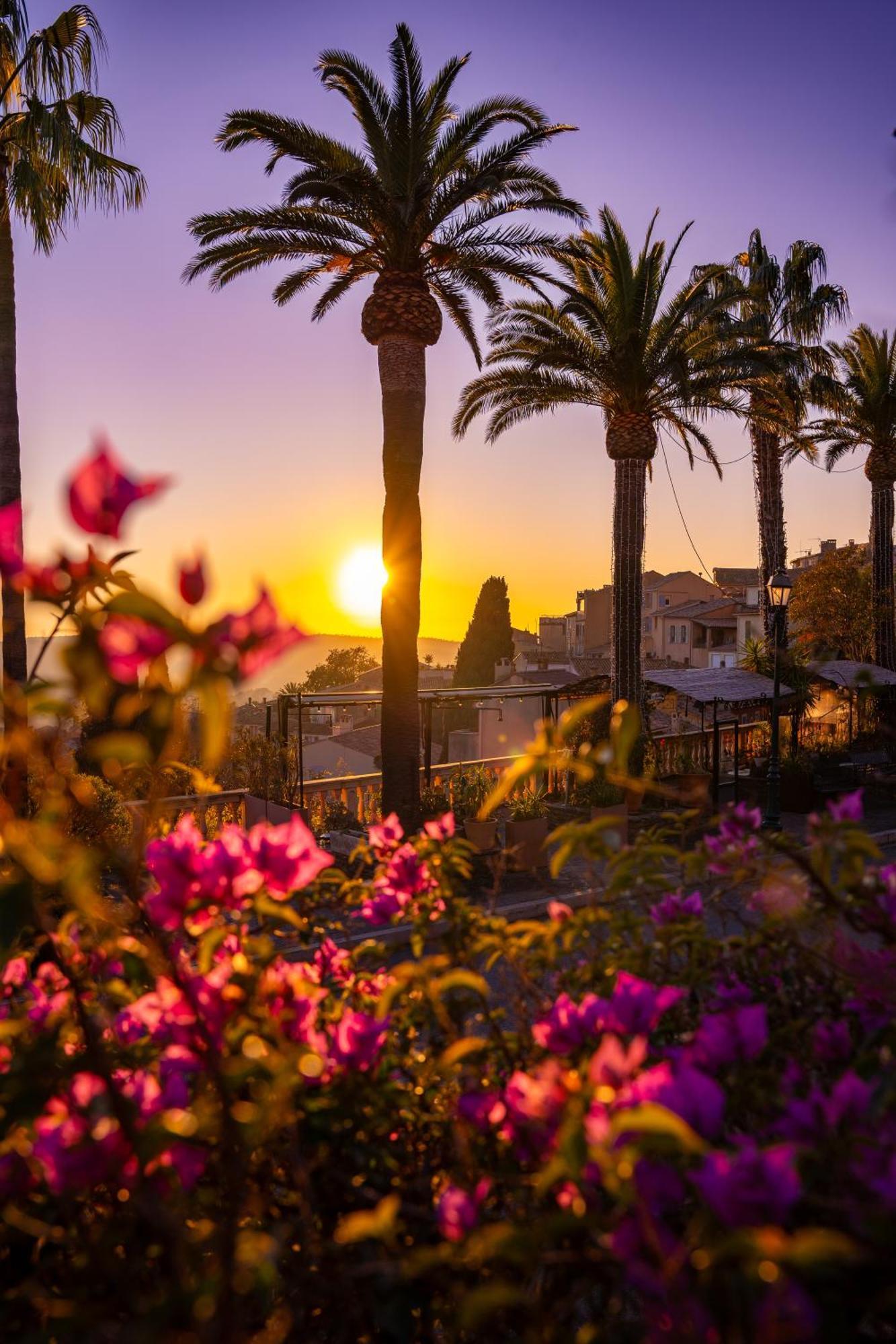 Villa La Provence Йер Экстерьер фото