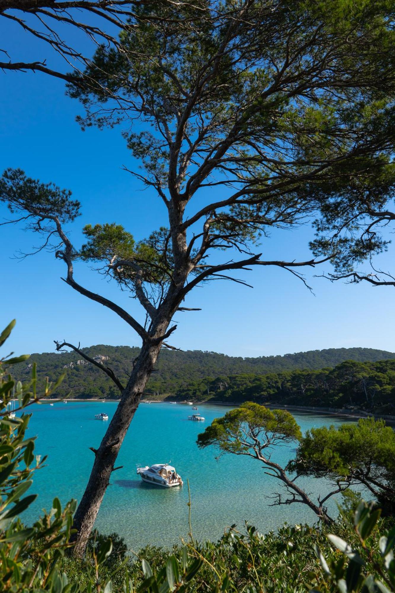 Villa La Provence Йер Экстерьер фото